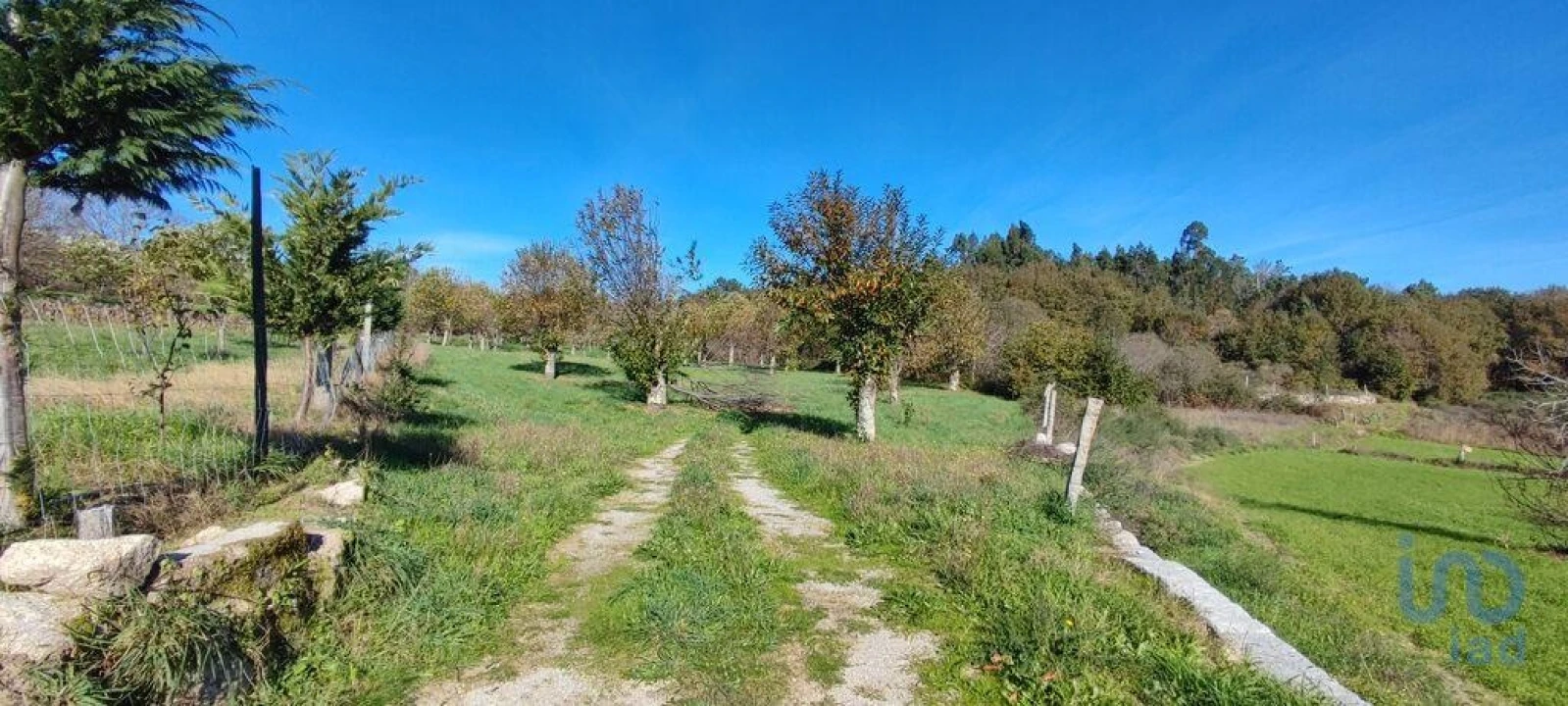 Terreno para Venda em Mões Foto 4