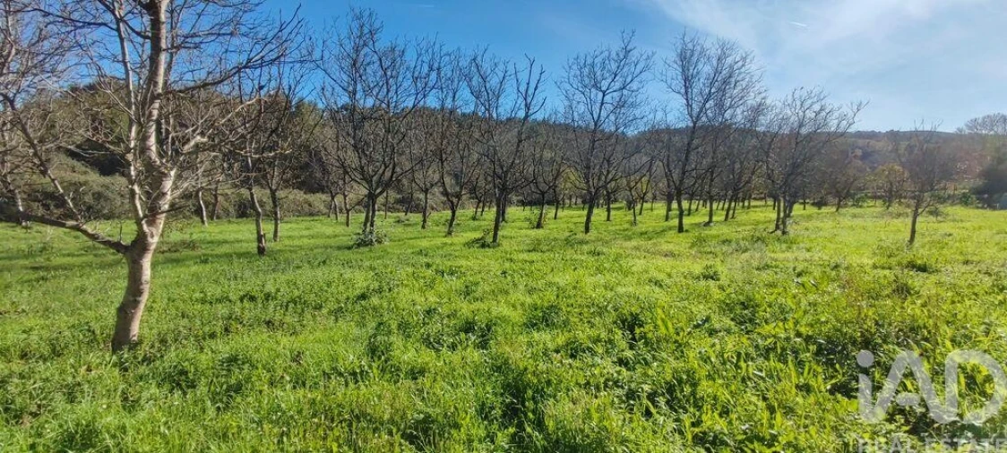 Terreno para Venda em Mões Foto 22