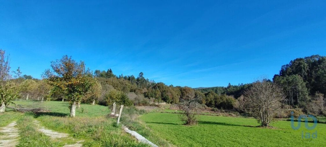 Terreno para Venda em Mões Foto 5