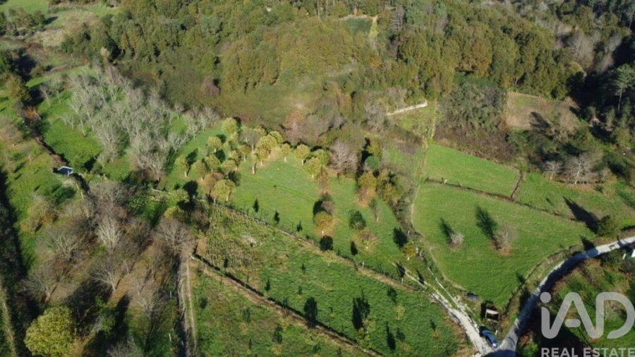 Terreno para Venda em Mões Foto 26