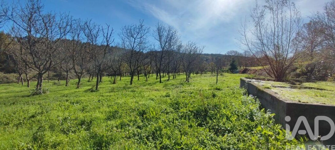 Terreno para Venda em Mões Foto 19