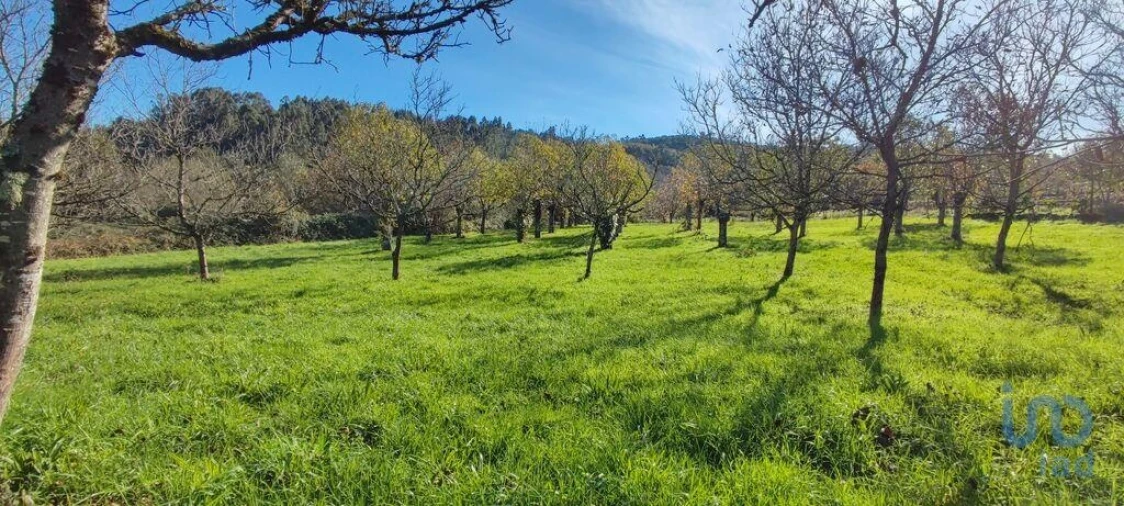 Terreno para Venda em Mões Foto 12