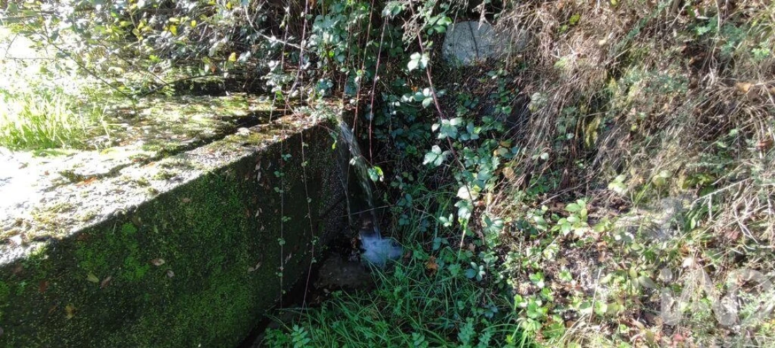 Terreno para Venda em Mões Foto 23