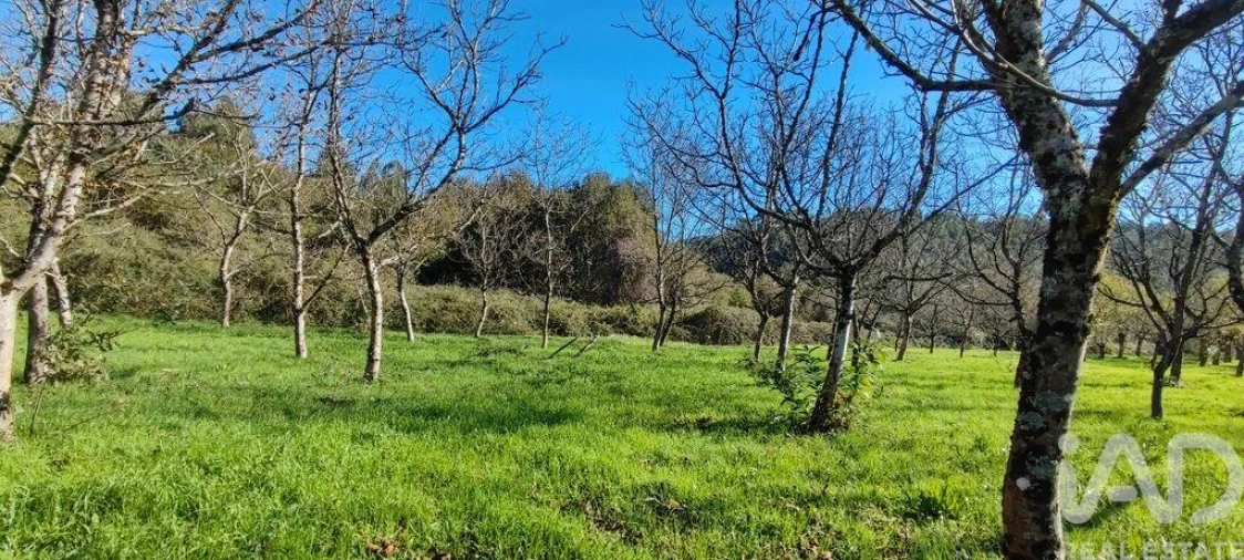 Terreno para Venda em Mões Foto 20