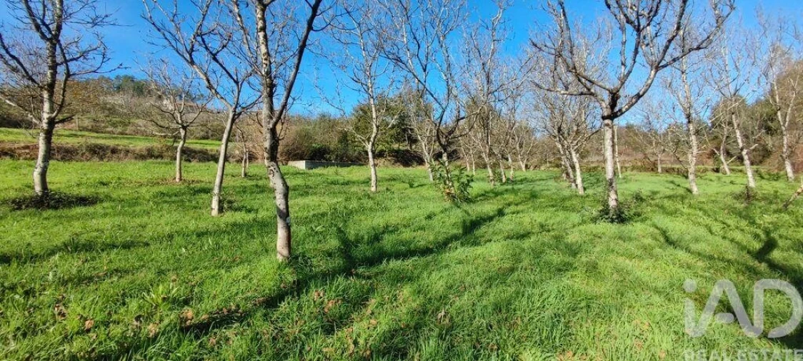 Terreno para Venda em Mões Foto 16