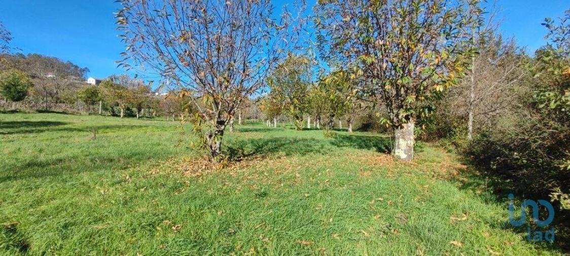 Terreno para Venda em Mões Foto 10