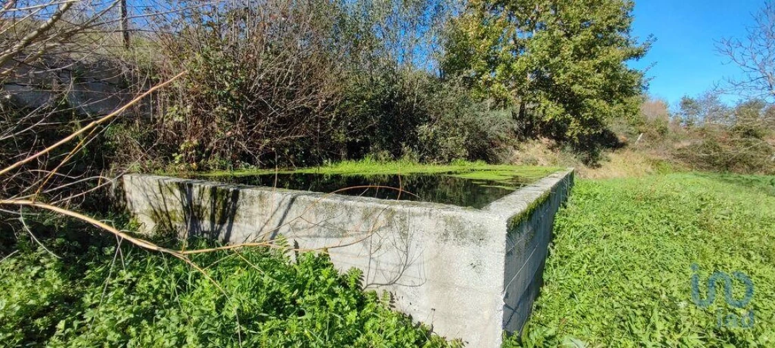 Terreno para Venda em Mões Foto 2