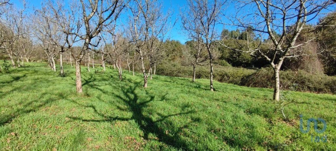 Terreno para Venda em Mões Foto 15
