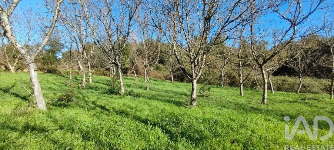 Terreno para Venda em Mões Foto 18