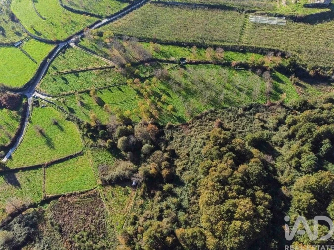 Terreno para Venda em Mões Foto 27
