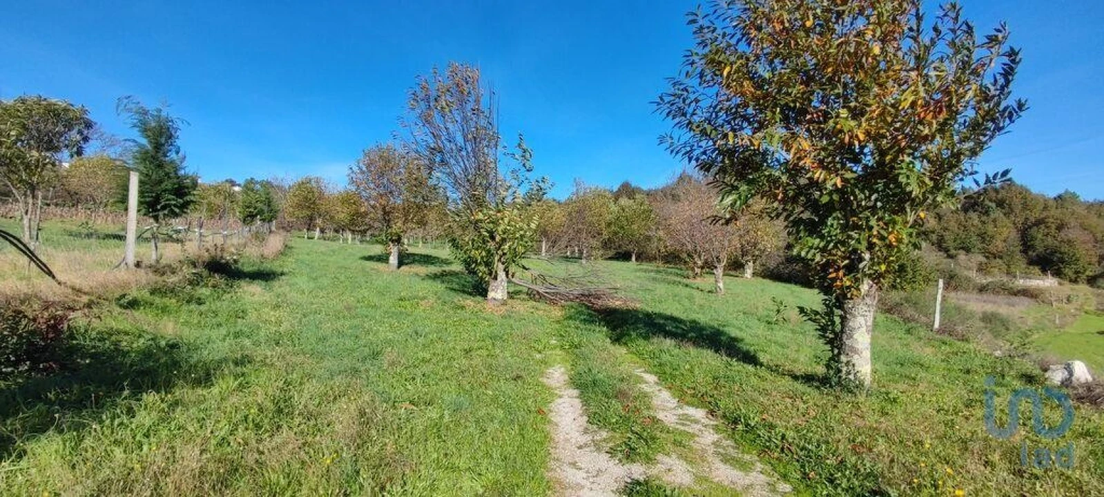 Terreno para Venda em Mões Foto 6