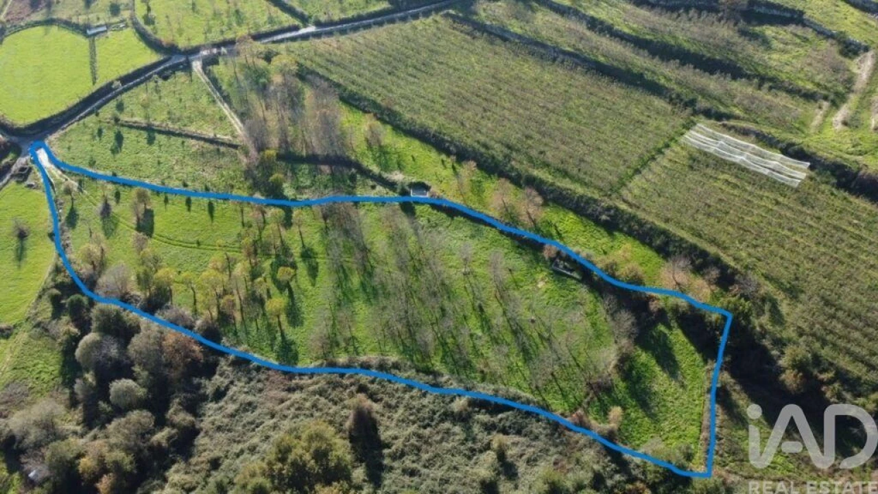 Terreno para Venda em Mões Foto 25