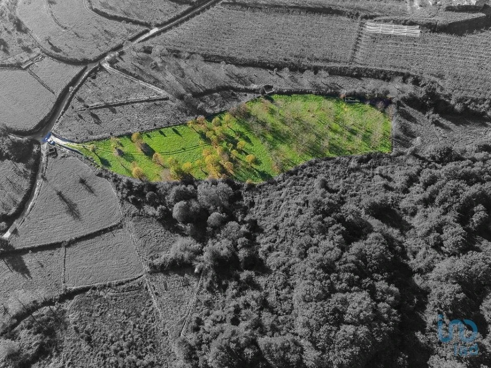 Terreno para Venda em Mões Foto 1