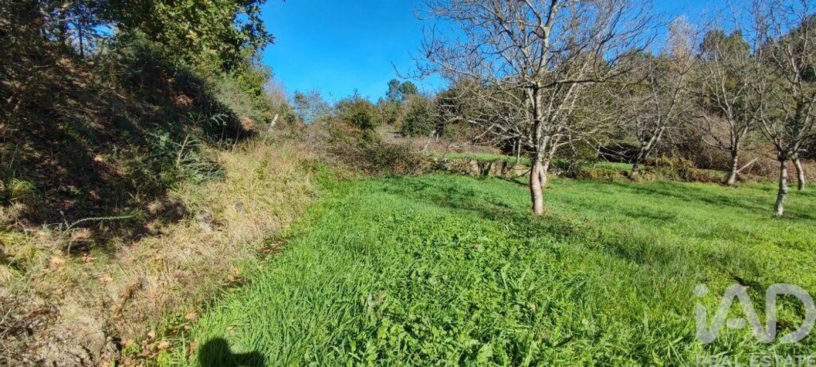 Terreno para Venda em Mões Foto 21