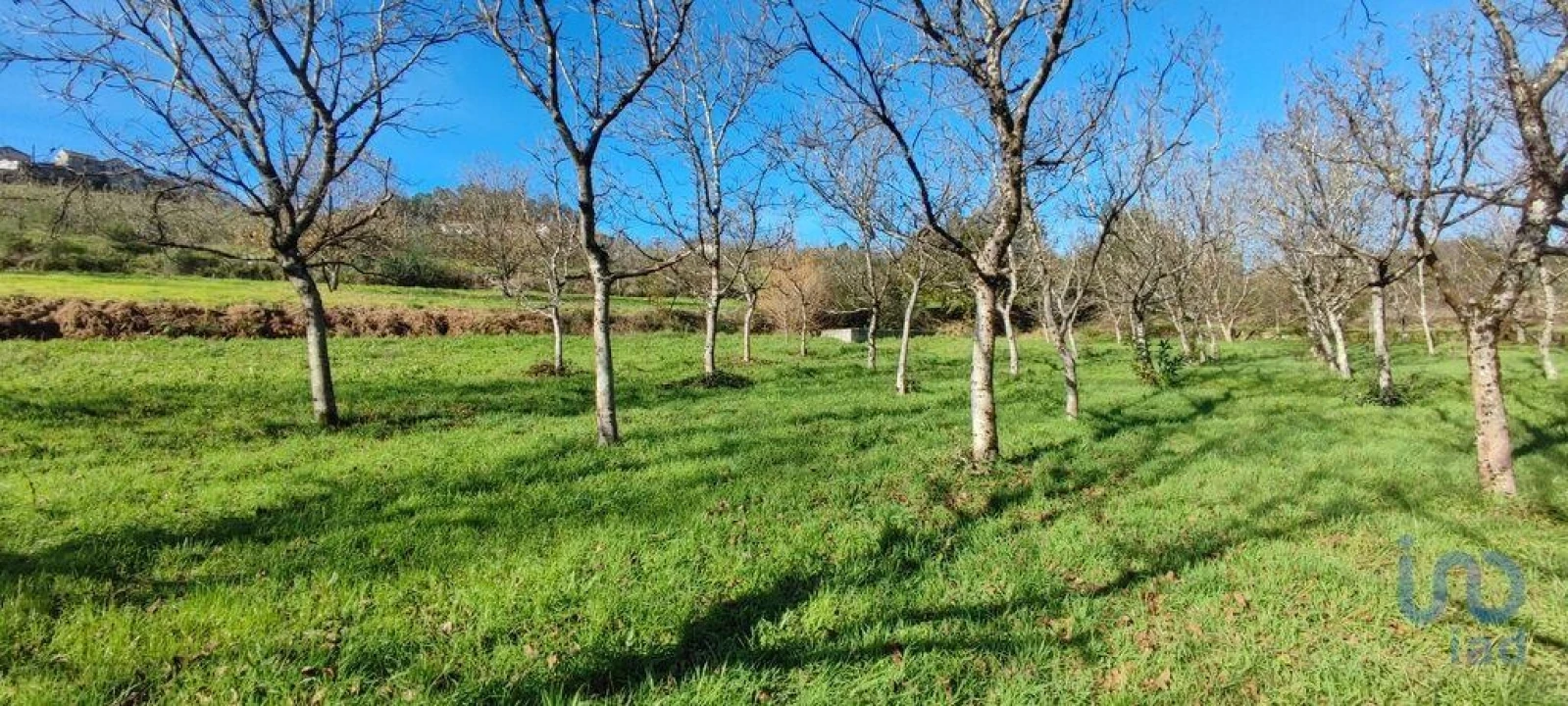 Terreno para Venda em Mões Foto 13