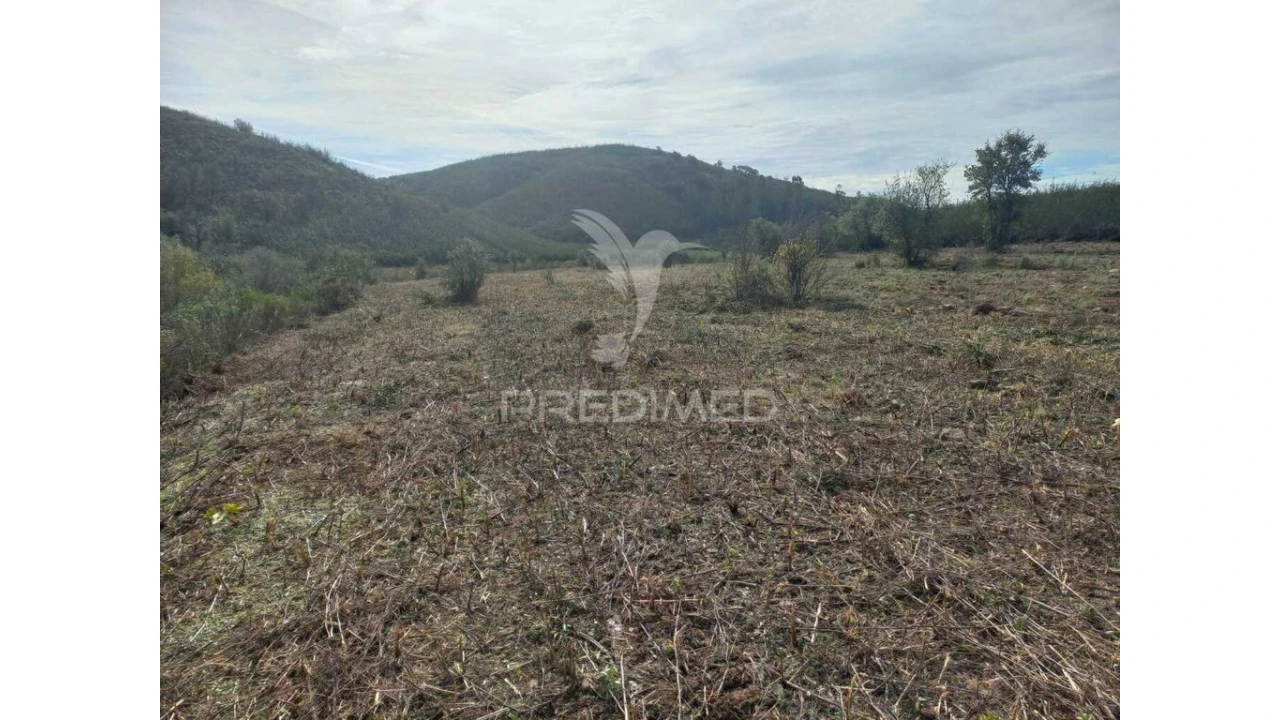 Terreno para Arrendamento em Portimão Foto 2
