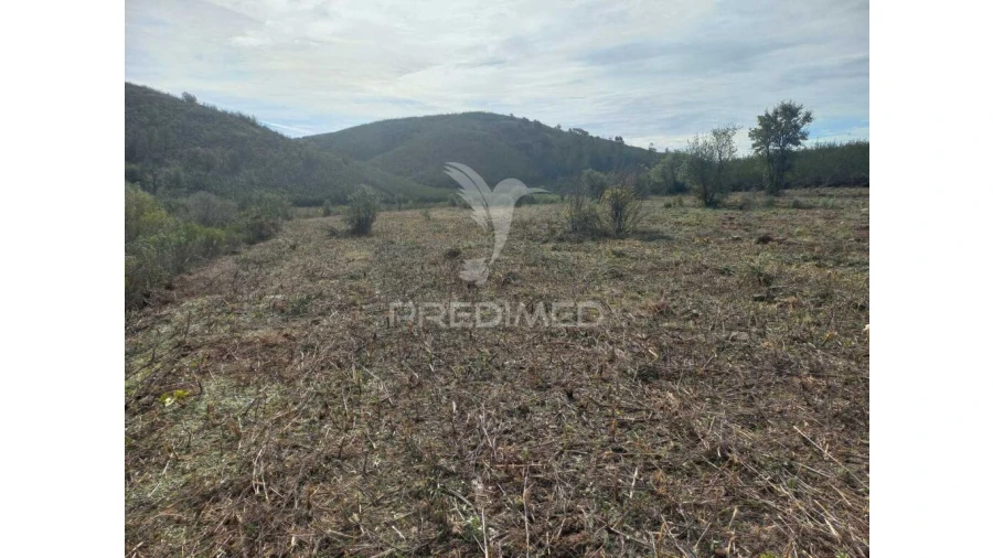 Terreno para Arrendamento em Portimão Foto 2