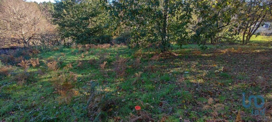 Terreno para Venda em Mões Foto 12