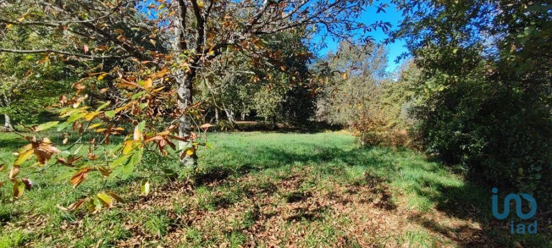 Terreno para Venda em Mões Foto 10