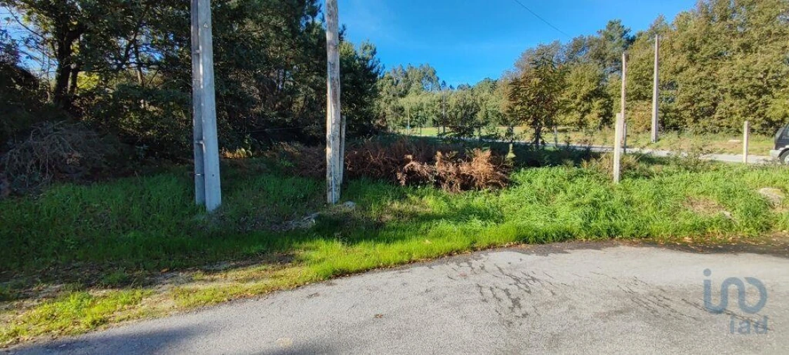 Terreno para Venda em Mões Foto 5