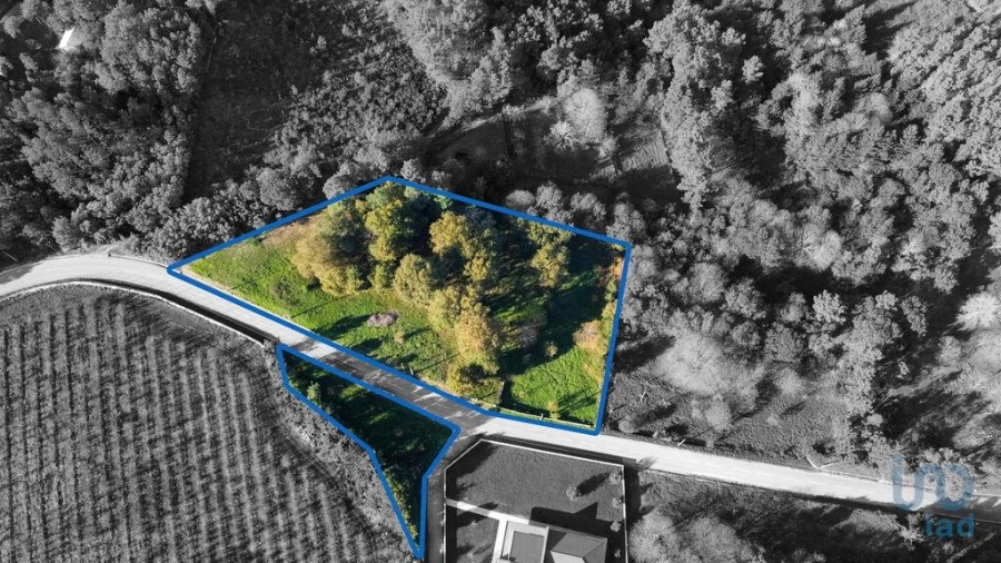 Terreno para Venda em Mões