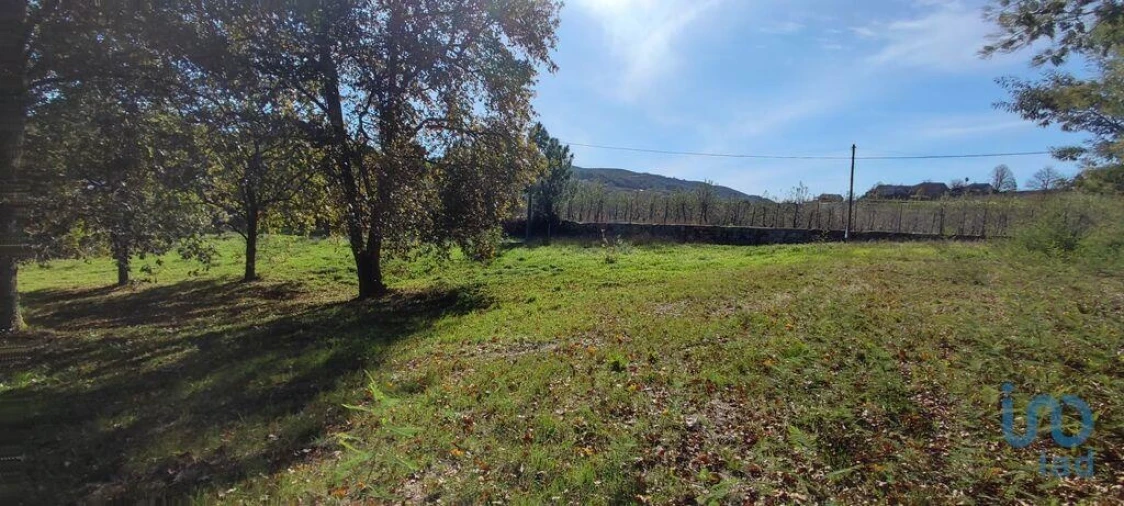 Terreno para Venda em Mões Foto 14