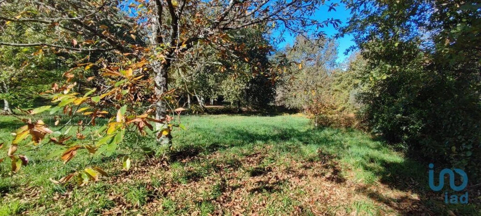 Terreno para Venda em Mões Foto 10