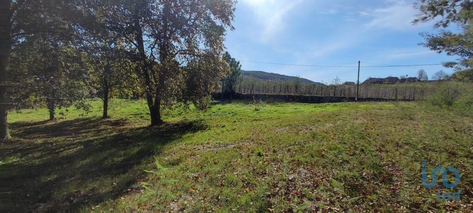 Terreno para Venda em Mões Foto 14