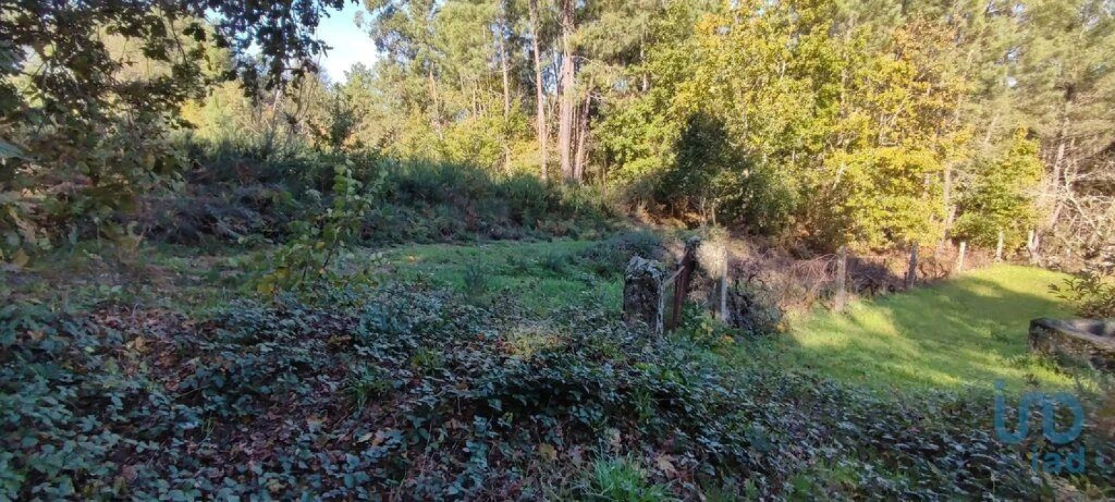 Terreno para Venda em Mões Foto 11