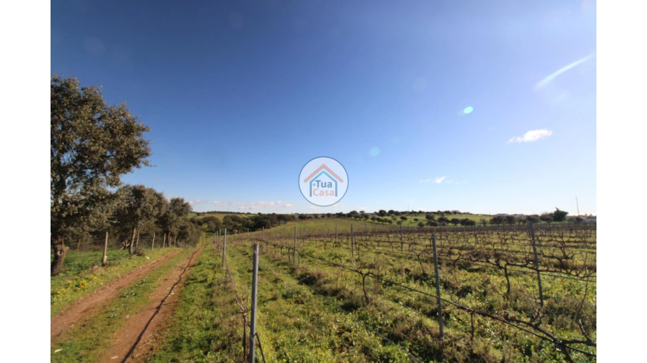 Terreno para Venda em São Lourenço de Mamporcão e São Bento de Ana Loura Foto 9
