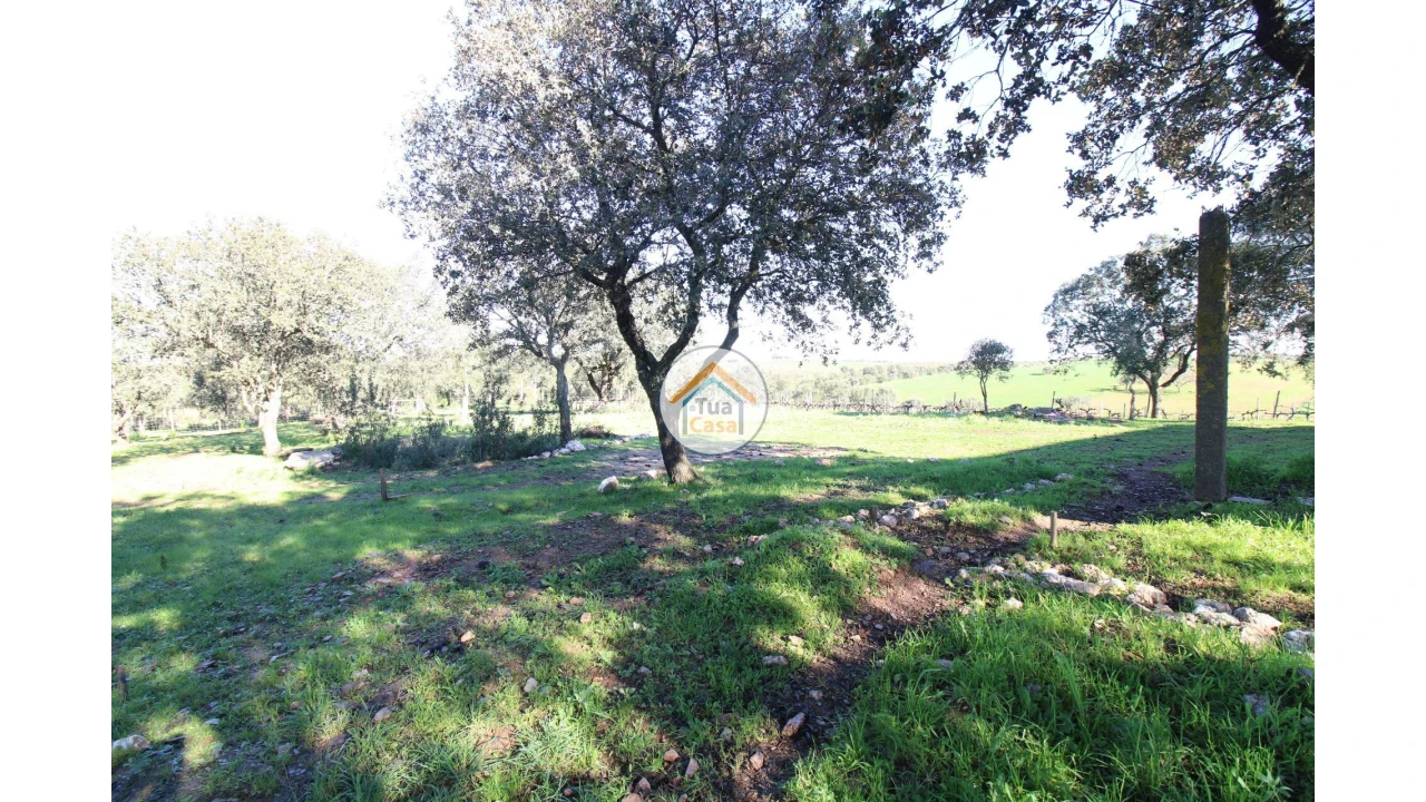Terreno para Venda em São Lourenço de Mamporcão e São Bento de Ana Loura Foto 15