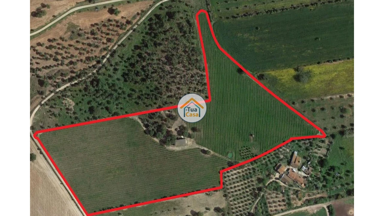 Terreno para Venda em São Lourenço de Mamporcão e São Bento de Ana Loura Foto 8