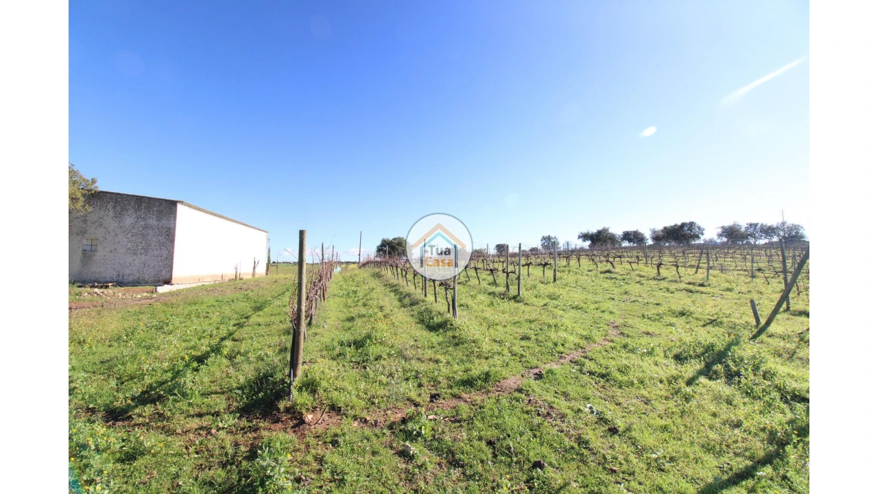 Terreno para Venda em São Lourenço de Mamporcão e São Bento de Ana Loura Foto 1