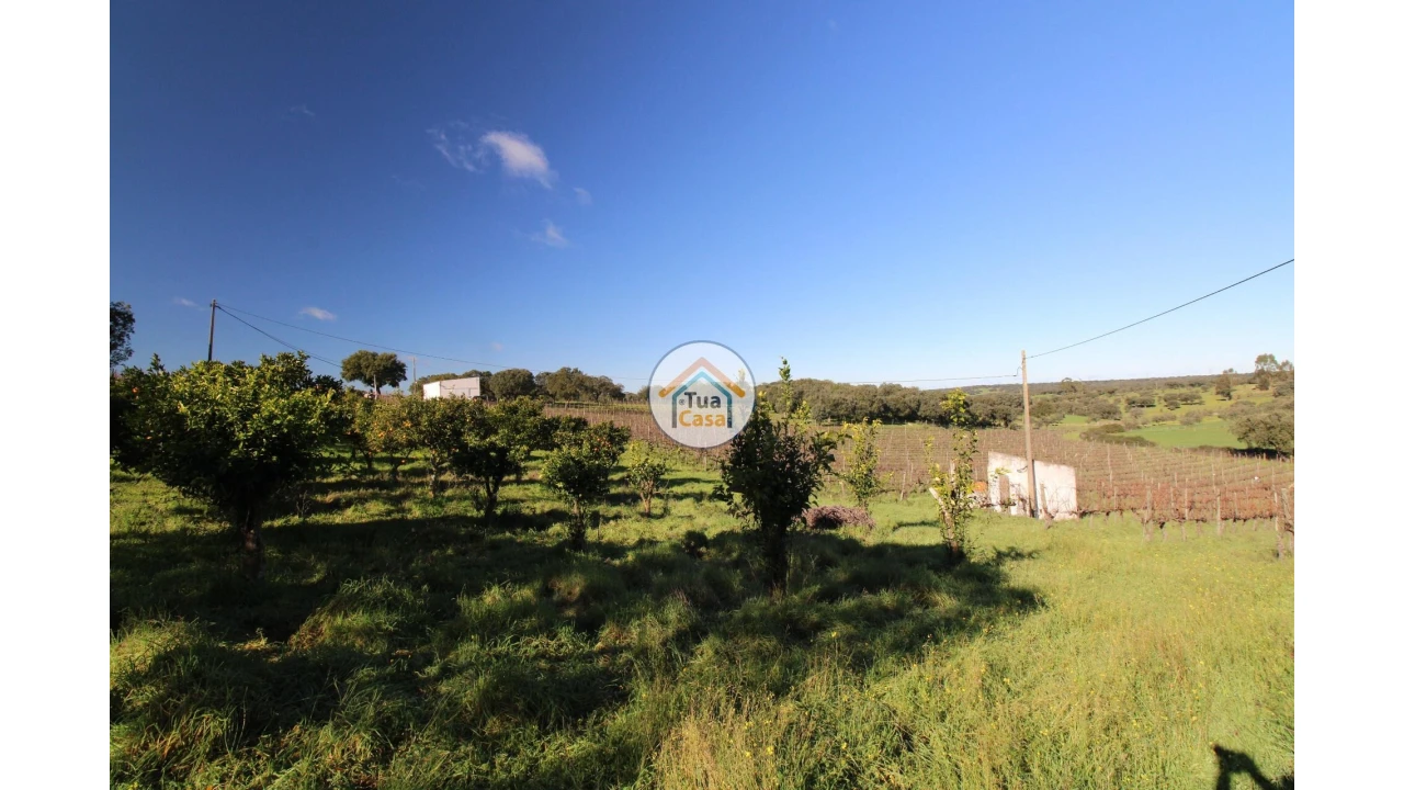 Terreno para Venda em São Lourenço de Mamporcão e São Bento de Ana Loura Foto 19