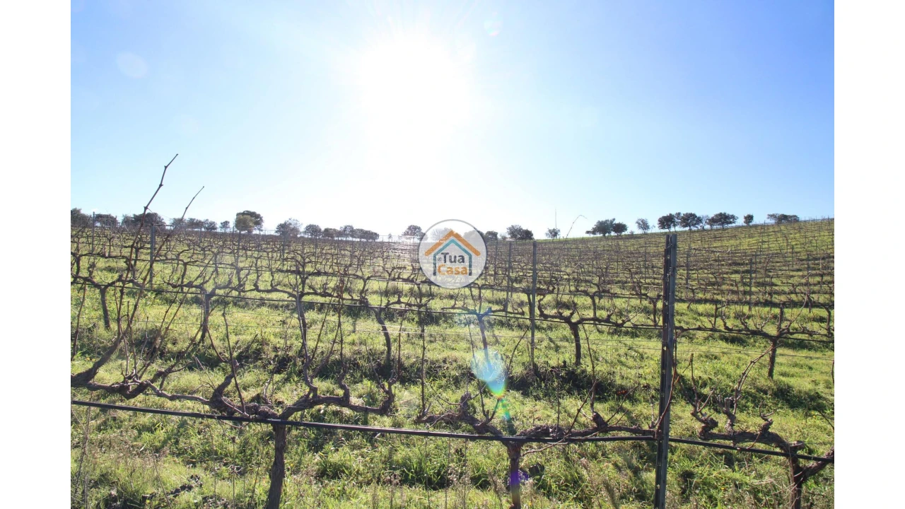 Terreno para Venda em São Lourenço de Mamporcão e São Bento de Ana Loura Foto 14