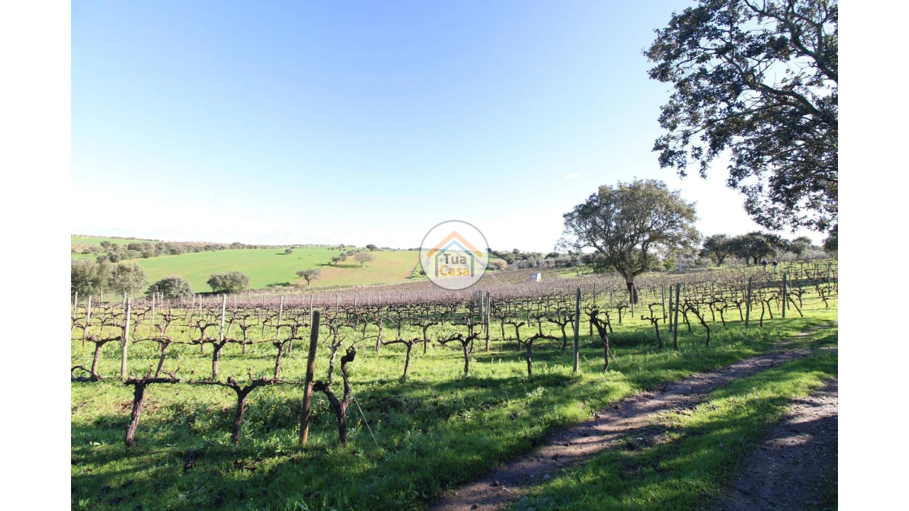 Terreno para Venda em São Lourenço de Mamporcão e São Bento de Ana Loura Foto 17