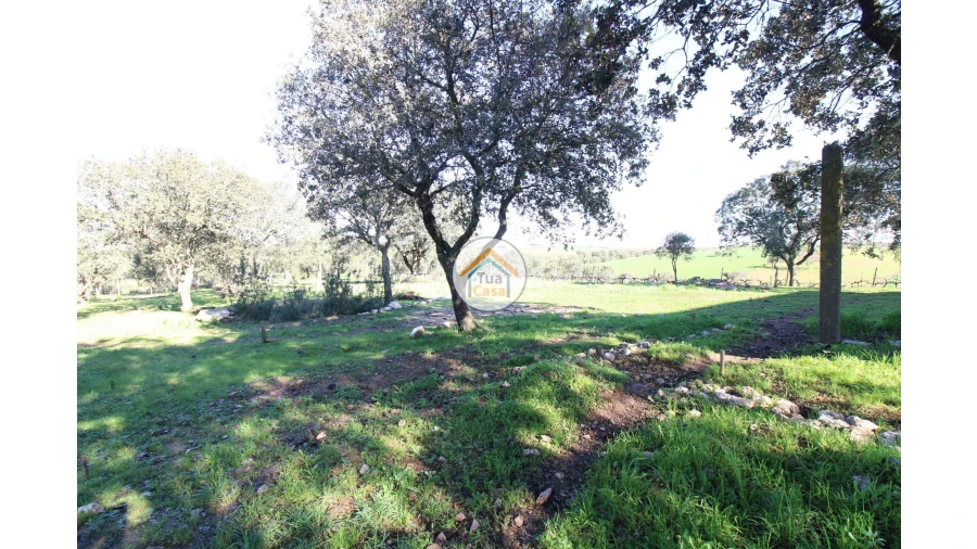 Terreno para Venda em São Lourenço de Mamporcão e São Bento de Ana Loura Foto 15