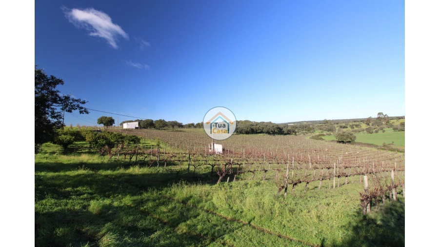 Terreno para Venda em São Lourenço de Mamporcão e São Bento de Ana Loura Foto 6