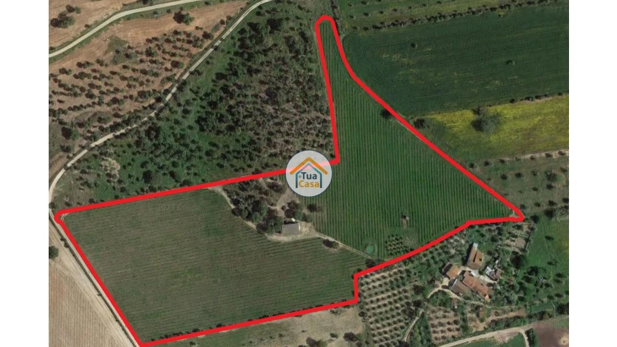 Terreno para Venda em São Lourenço de Mamporcão e São Bento de Ana Loura Foto 8