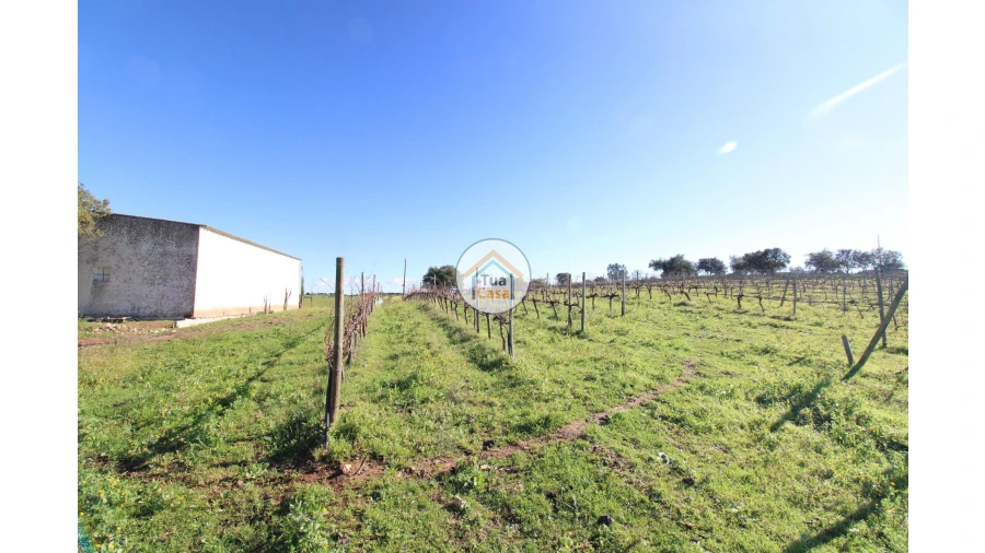 Terreno para Venda em São Lourenço de Mamporcão e São Bento de Ana Loura Foto 1