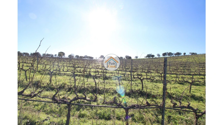 Terreno para Venda em São Lourenço de Mamporcão e São Bento de Ana Loura Foto 14
