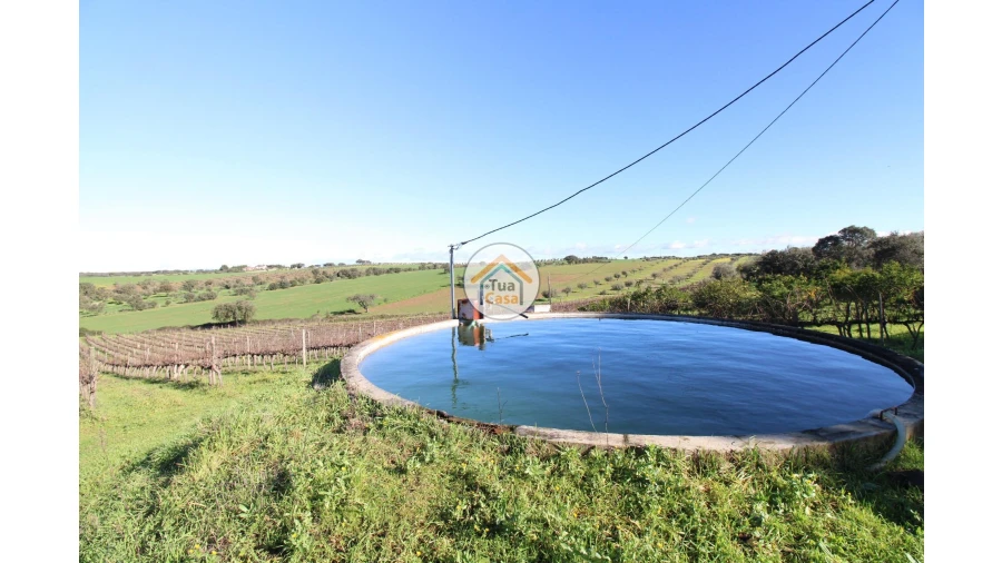 Terreno para Venda em São Lourenço de Mamporcão e São Bento de Ana Loura Foto 5