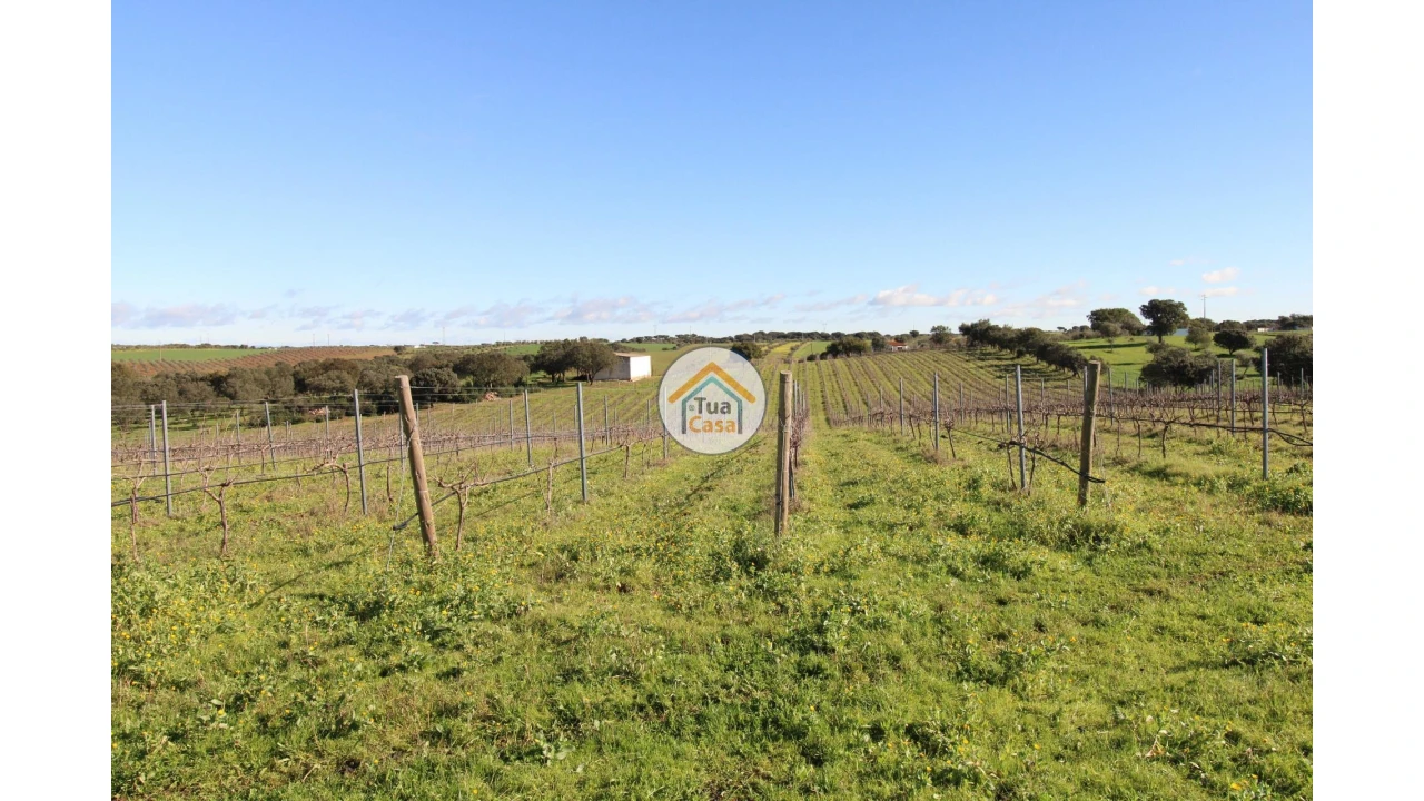 Terreno para Venda em São Lourenço de Mamporcão e São Bento de Ana Loura Foto 7