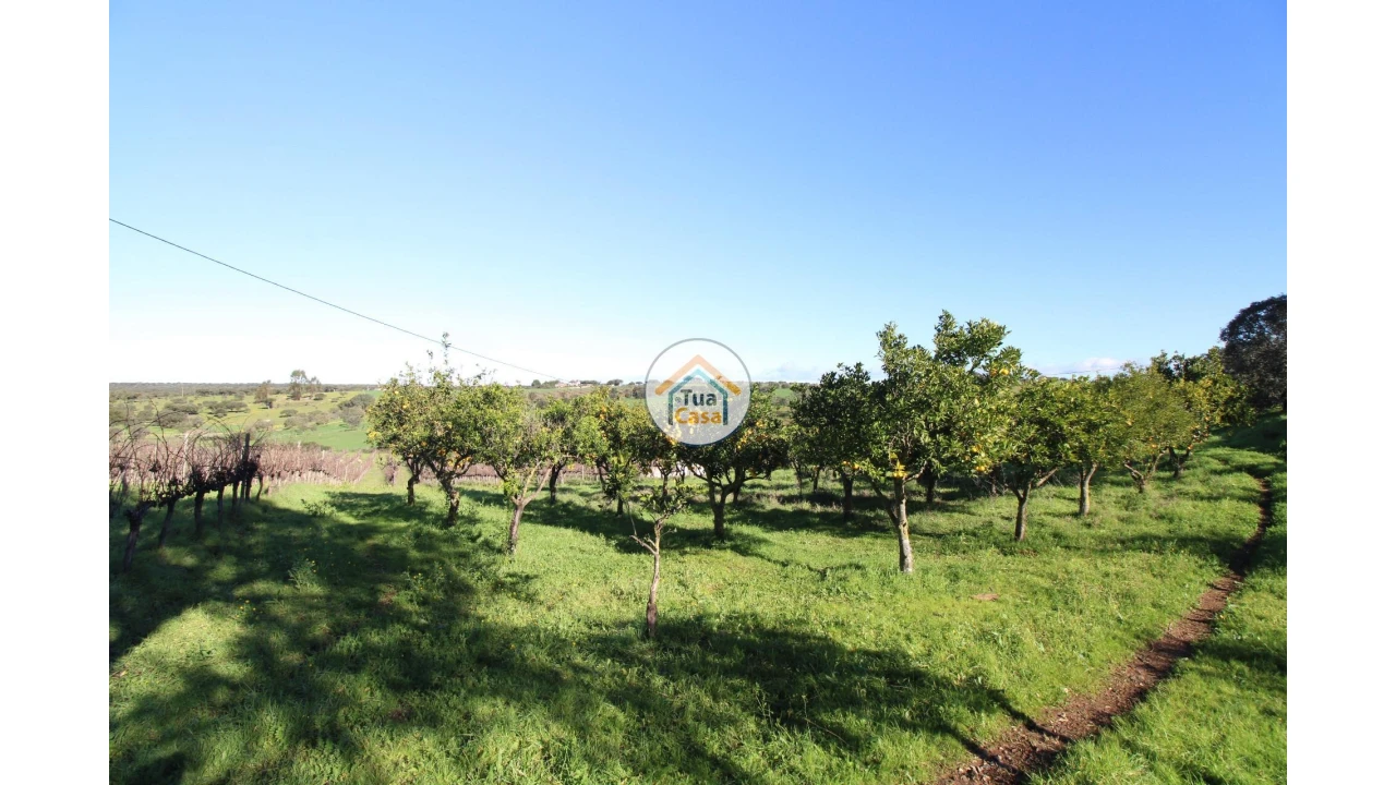 Terreno para Venda em São Lourenço de Mamporcão e São Bento de Ana Loura Foto 18