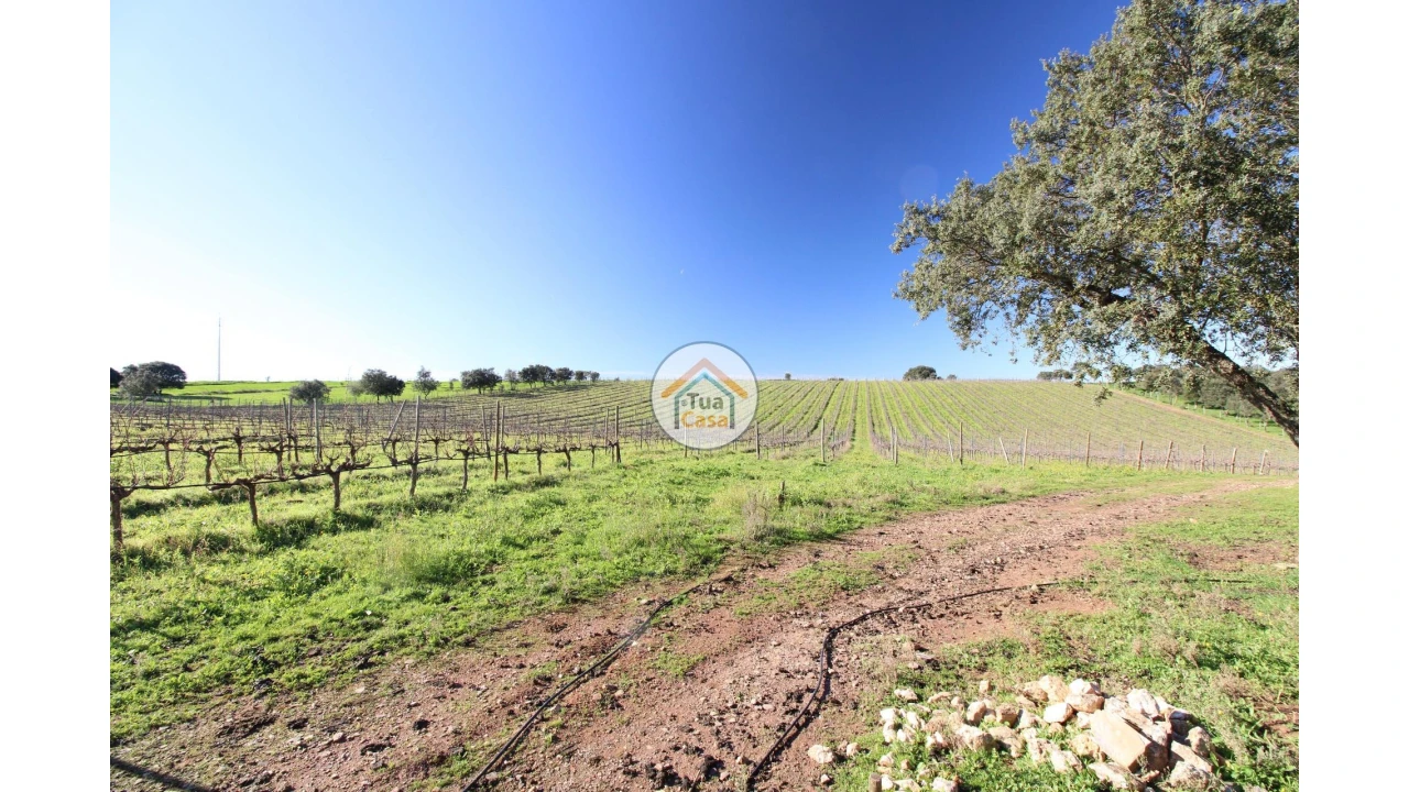 Terreno para Venda em São Lourenço de Mamporcão e São Bento de Ana Loura Foto 13