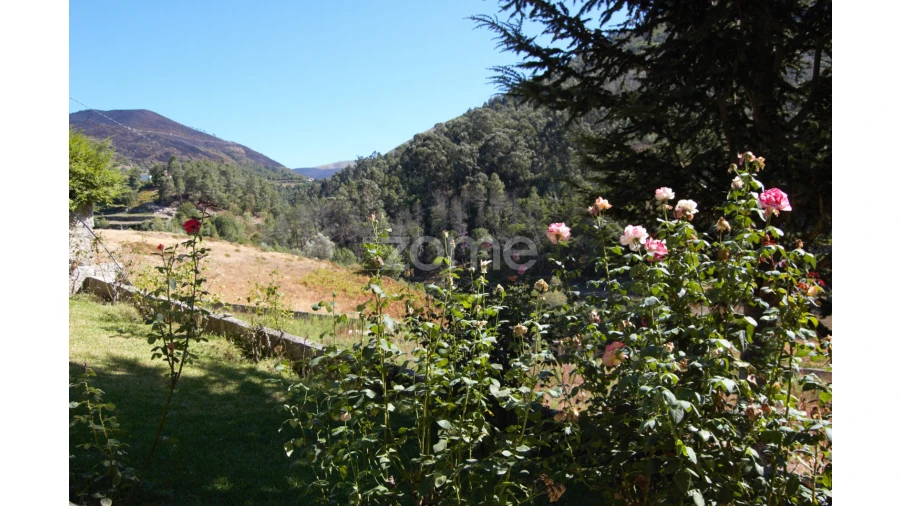 Moradia T4 para Venda em Teixeira e Teixeiró Foto 64