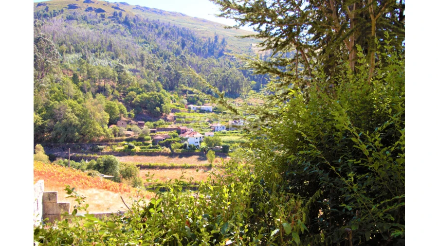 Moradia T4 para Venda em Teixeira e Teixeiró Foto 11