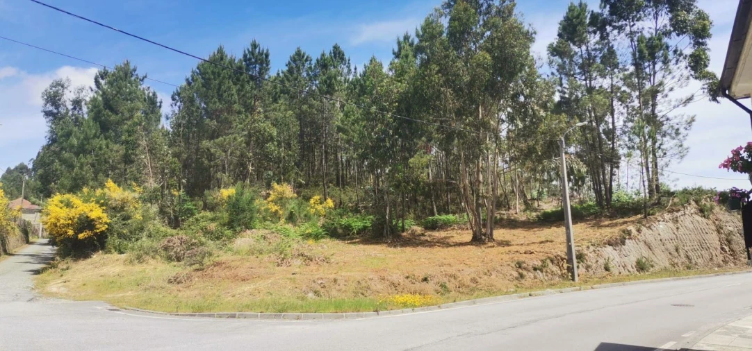 Terreno para Venda em Silvares, Pias, Nogueira e Alvarenga Foto 1