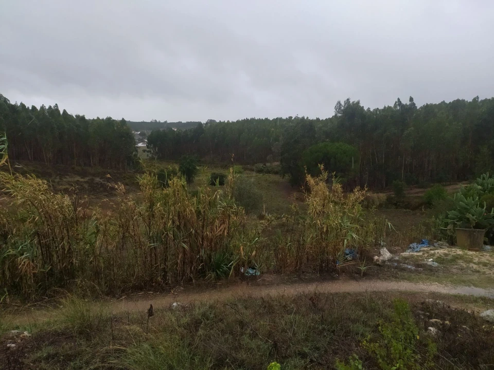 Moradia T5 para Venda em Alcanede Foto 21