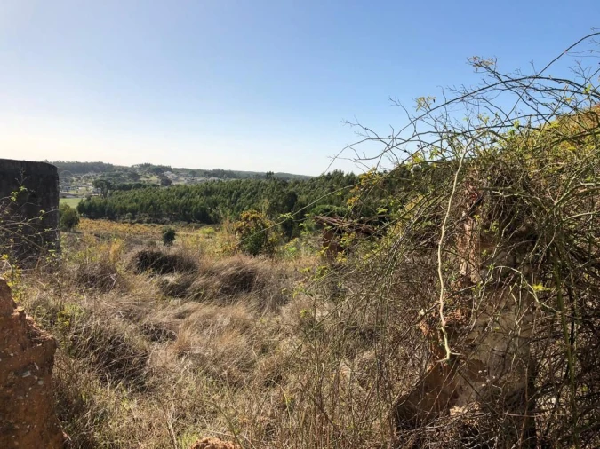 Moradia T5 para Venda em Alcanede Foto 9